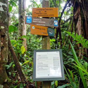 Wegweiser durch den Diabetes-Dschungel- Nützliche Adressen & Links auf einen Blick, without